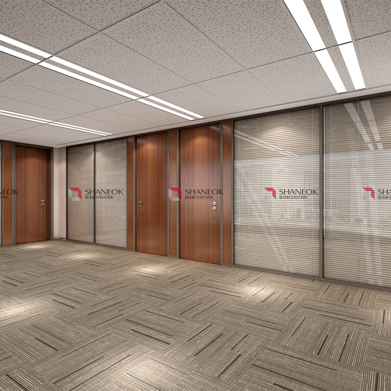 shengnuo glass partition Custom molding glass partition