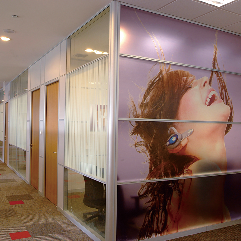 shengnuo glass partition Custom molding glass partition